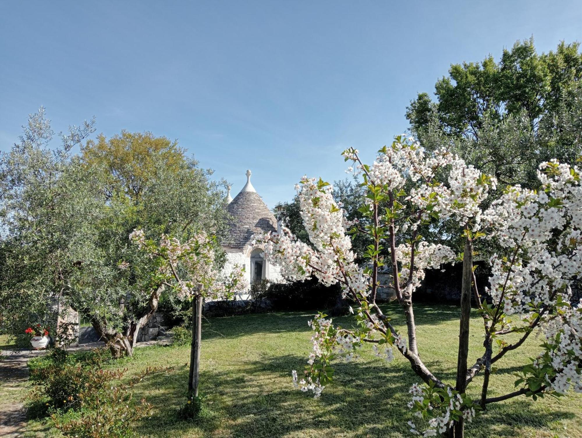 Trulli Manuela Villa Locorotondo Exterior foto